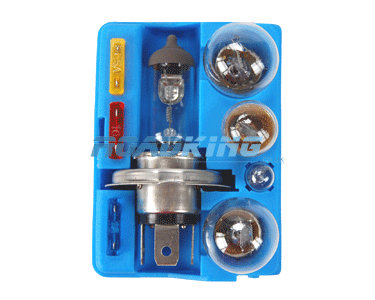 H4 24 Volt Bulb Set - with Fuses