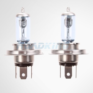 12v Bulbs